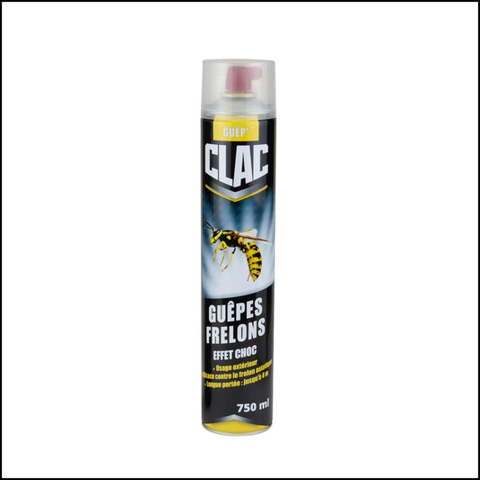 Photo d'un spray pour éliminer les guêpes et frelons en toute sécurité avec une portée jusqu'à m.